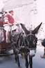 Souvigny (03) 6 août 2014 #6241