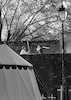 Souvigny (03) 4 août 2006 #07