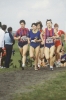 Martine Laurent (522), Rosario Murcia, Agnès Sergent (521), Cross de Dijon 1985, #916