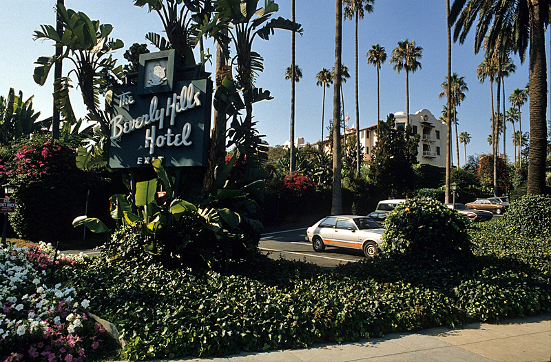 D650 – Beverly Hills