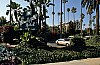 D650 – Beverly Hills
