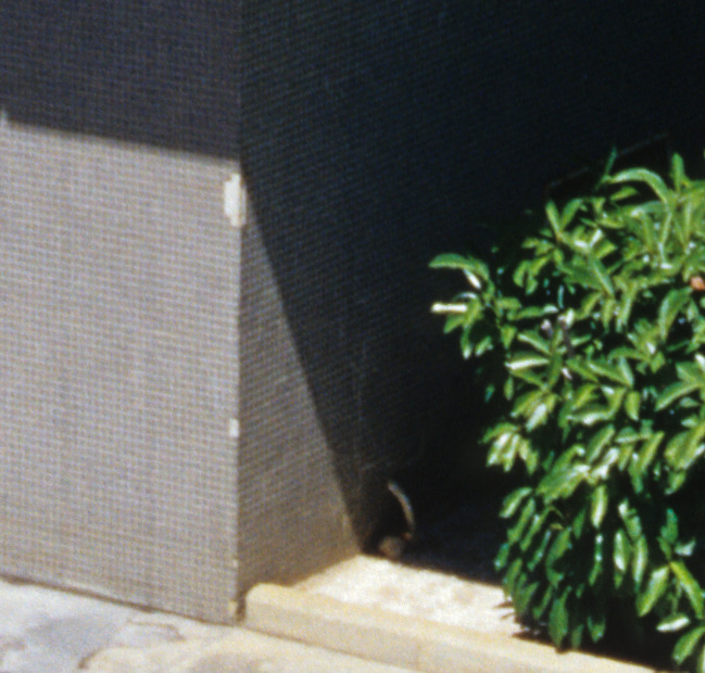 Konica Hexar AF