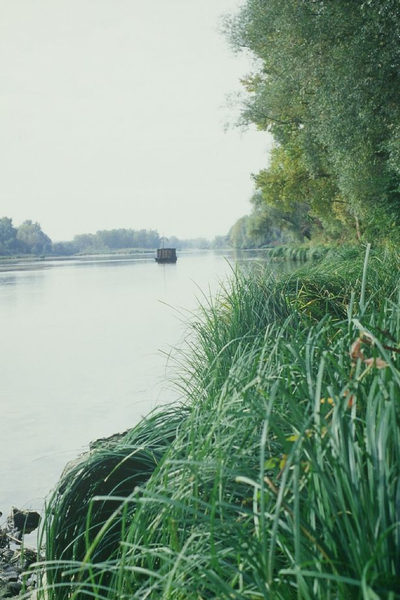 La Loire a Nevers, objectif 50mm w:400, h:600 La Loire a Nevers, objectif 50mm