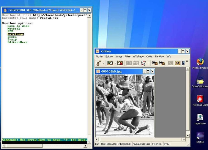 Text browser and images